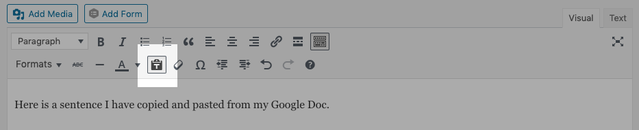 Screenshot of the 'paste as text' button in the editor