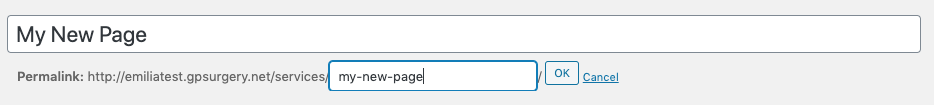 Screenshot showing my permalink change in the title options