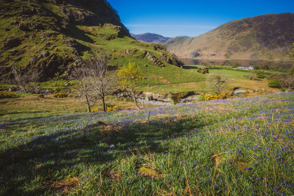 Rannerdale Knotts in Cumbria